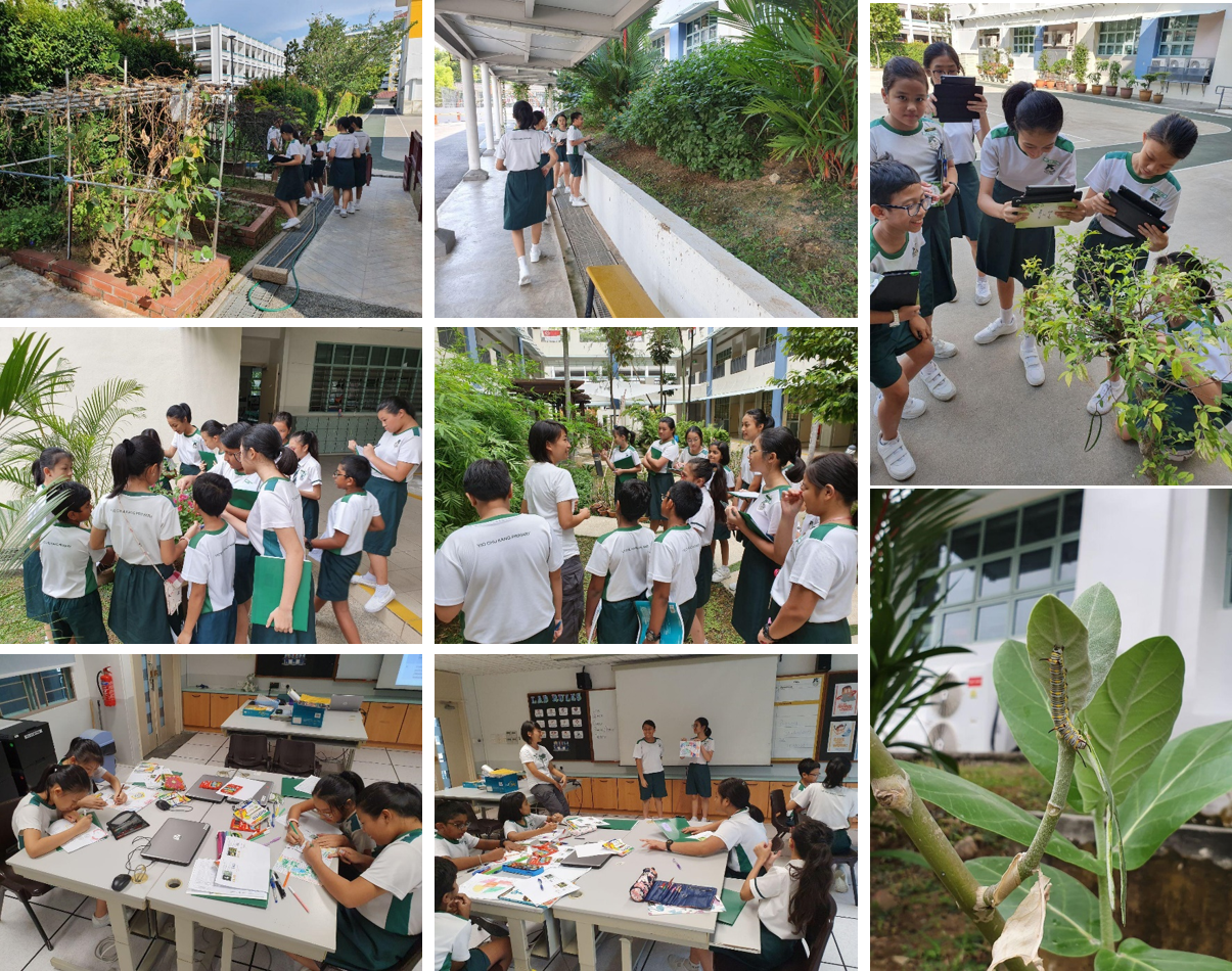 Greening Schools for Biodiversity 2019