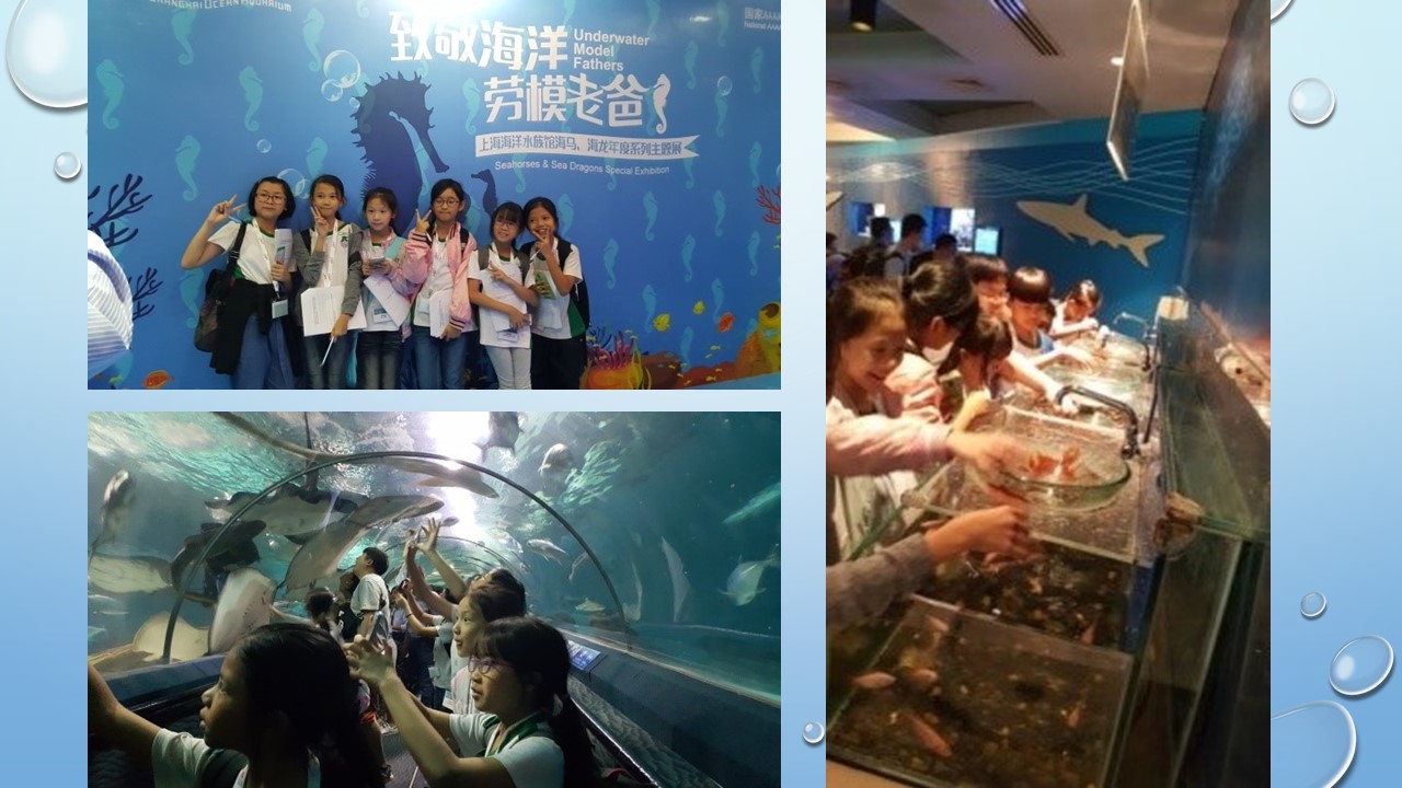 Learning and fun time at the Shanghai Ocean Aquarium.