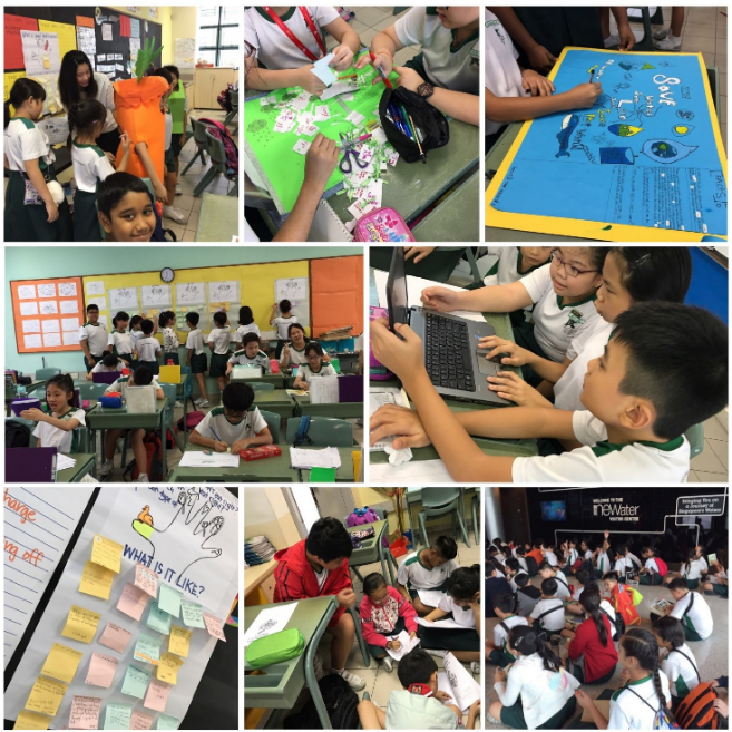 P4, P5, P6 Interdisciplinary Project Work (IPW)