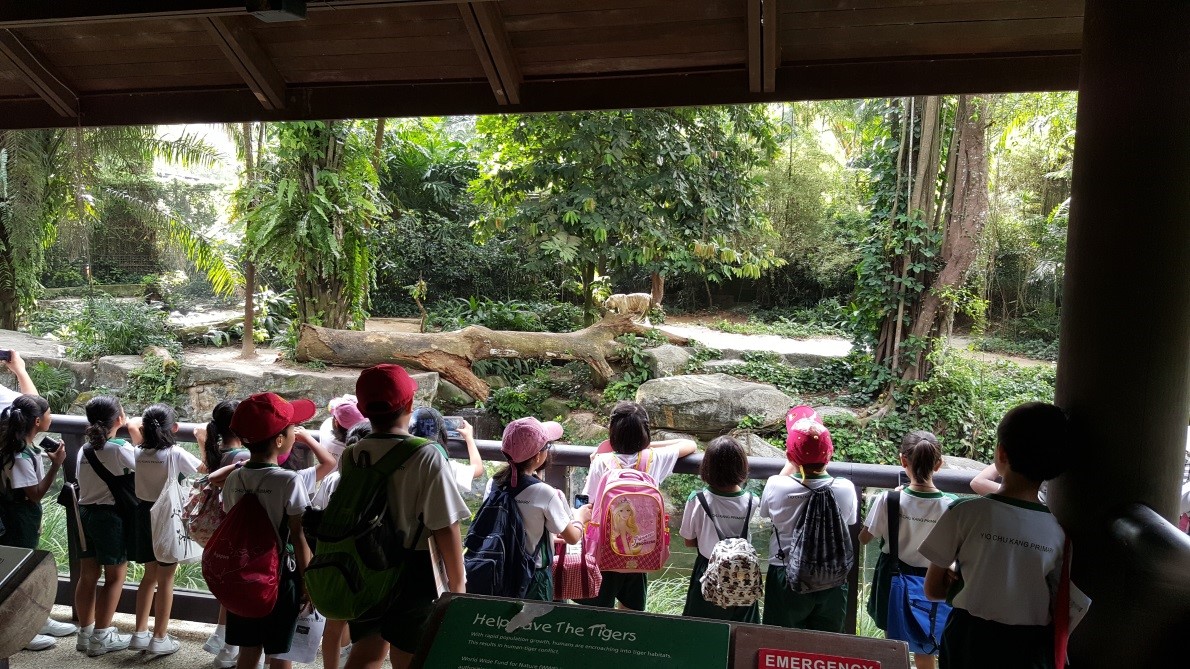 P3 Learning Journey to Singapore Zoological Gardens